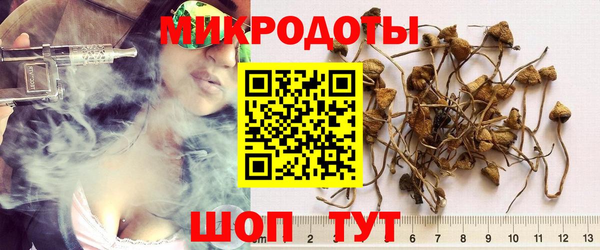 Галлюциногенные грибы GOLDEN TEACHER  Галлюциногенные грибы Psilocybe  Таганрог  наркота  Вход с VPN 